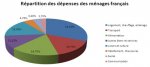 repartition-des-depenses-des-menages-francais.jpg