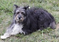 Sally 2019-500.jpg