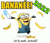 bonne_annee_2022.gif