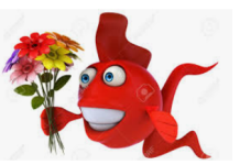 1659029249730.png