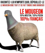 1665593067206.png