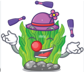 1694967832258.png 1694967832258.png