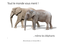 Capture d’écran (222).png