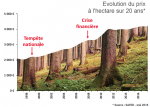 Cours des Ha forêts.png