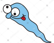 1729540007720.png