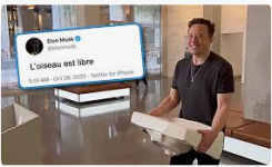 1731517576294.png