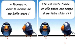 1732983371295.png 1732983371295.png