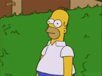 1735648654403.gif
