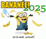 bonne_annee_2025.gif