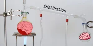 DISTILLATION.webp