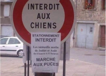 1743113207124.png 1743113207124.png