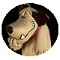 437980826.gif