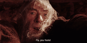 giphy (49).gif