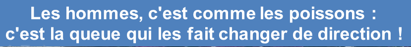 1751560826818.png