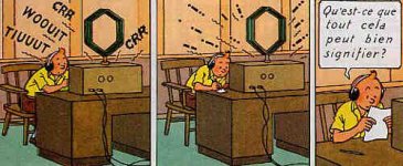 tintin.jpg