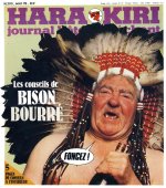HK9 bison bourre.jpg