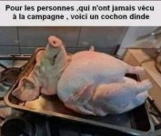 Screenshot_2025-08-21-21-27-27-485.jpeg Screenshot_2025-08-21-21-27-27-485.jpeg