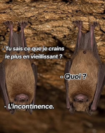 1759831493267.png 1759831493267.png