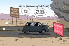 1763560892427.jpeg 1763560892427.jpeg