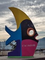 L'acquarium.jpg L'acquarium.jpg