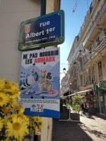 Ne pas nourrir les animaux.jpg Ne pas nourrir les animaux.jpg