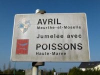 1766349260941.jpeg 1766349260941.jpeg