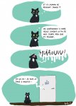 ChatQuiPleure.jpg