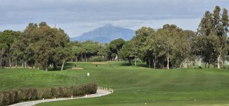 20260209_135028.jpg 20260209_135028.jpg