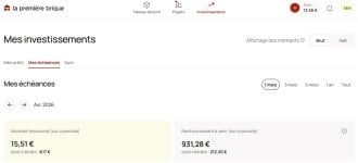 bricks 30 avr 26.JPG