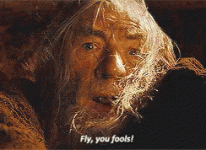 gandalf-lotr (2).gif