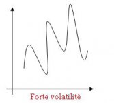 vole forte.JPG vole forte.JPG